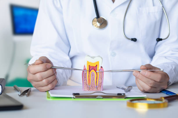Best Pediatric Emergency Dentist in Temesl Valley, CA